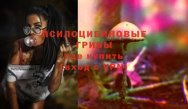 СК Слюдянка