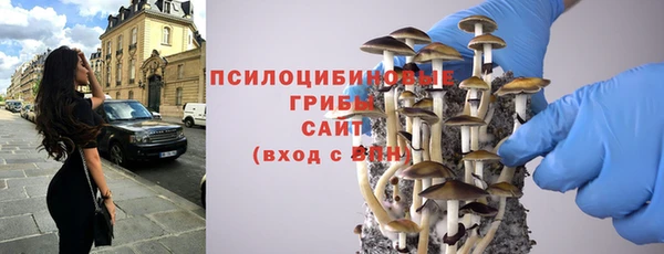 винт Снежногорск