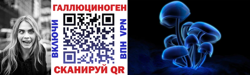 где купить наркотик  Спас-Клепики  Псилоцибиновые грибы Cubensis 